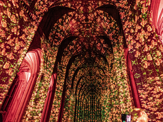 Poppy Fields Winchester Cathedral Nov 2023 Luxmuralis (20)