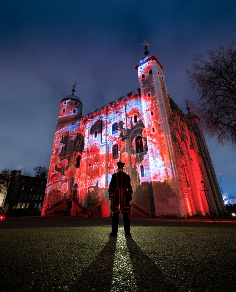 Tower of London, poppy fields, poppies, light and sound show, luxmuralis, November, remembrance, Eddie redmayne, 